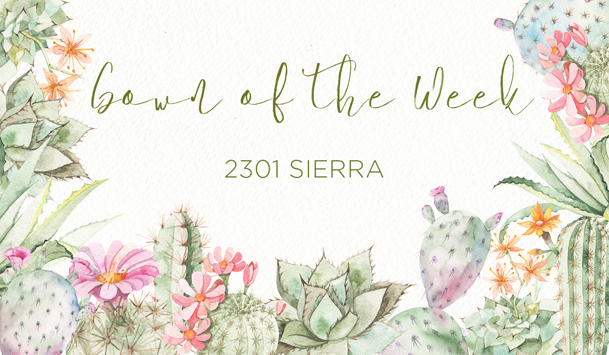 Gown of the Week Style 2301 Sierra